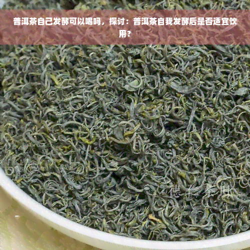 普洱茶自己发酵可以喝吗，探讨：普洱茶自我发酵后是否适宜饮用？