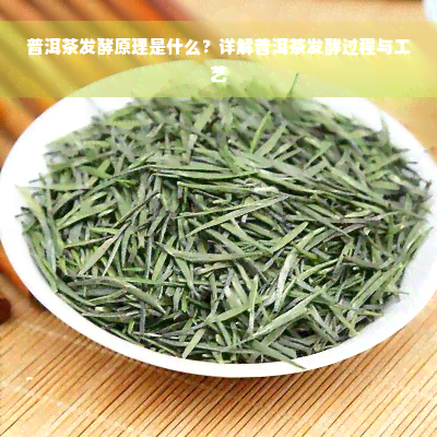 普洱茶发酵原理是什么？详解普洱茶发酵过程与工艺