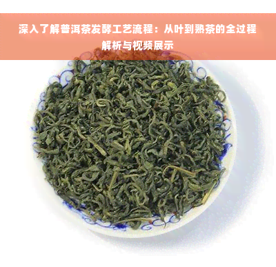 深入了解普洱茶发酵工艺流程：从叶到熟茶的全过程解析与视频展示