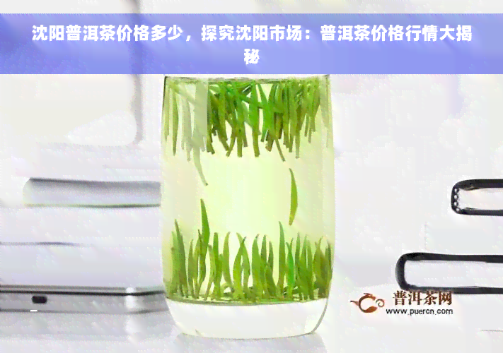 沈阳普洱茶价格多少，探究沈阳市场：普洱茶价格行情大揭秘