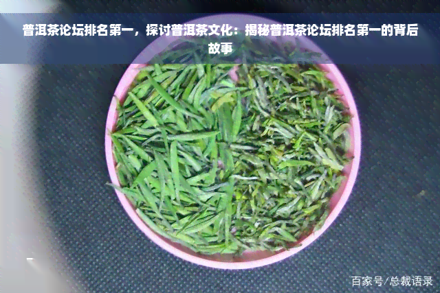 普洱茶论坛排名之一，探讨普洱茶文化：揭秘普洱茶论坛排名之一的背后故事