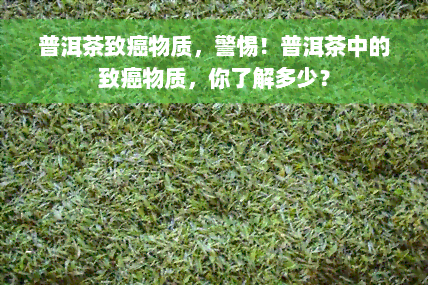 普洱茶致癌物质，警惕！普洱茶中的致癌物质，你了解多少？