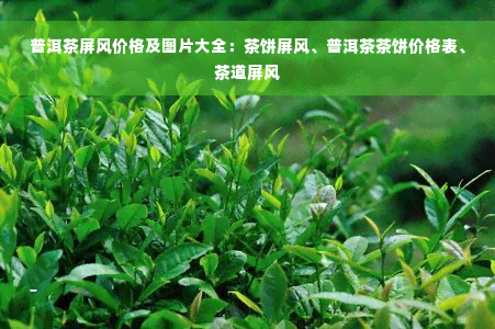 普洱茶屏风价格及图片大全：茶饼屏风、普洱茶茶饼价格表、茶道屏风