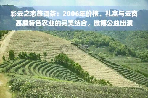 彩云之恋普洱茶：2006年价格、礼盒与云南高原特色农业的完美结合，微博公益出演