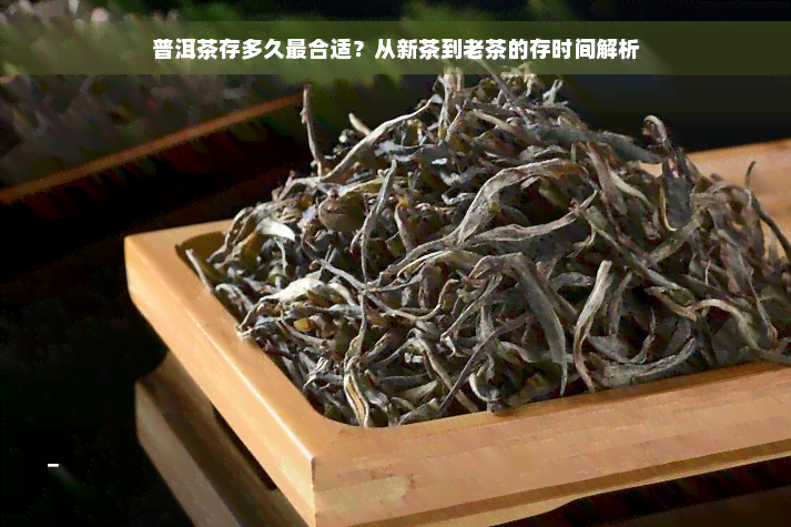 普洱茶存多久最合适？从新茶到老茶的存时间解析