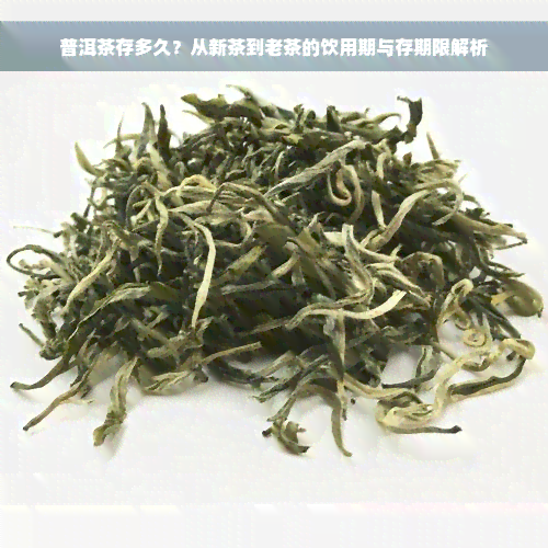 普洱茶存多久？从新茶到老茶的饮用期与存期限解析