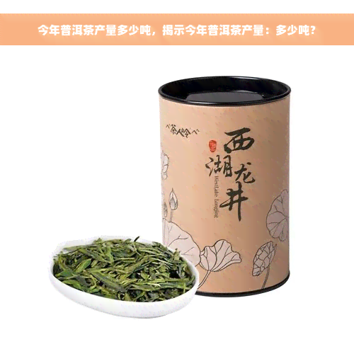 今年普洱茶产量多少吨，揭示今年普洱茶产量：多少吨？