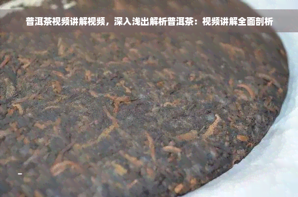 普洱茶视频讲解视频，深入浅出解析普洱茶：视频讲解全面剖析