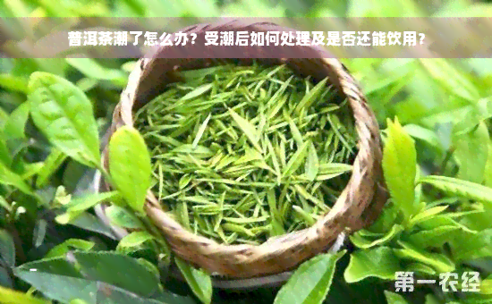 普洱茶潮了怎么办？受潮后如何处理及是否还能饮用？