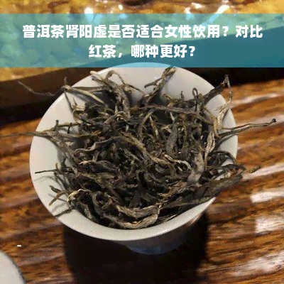 普洱茶肾阳虚是否适合女性饮用？对比红茶，哪种更好？