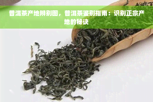 普洱茶产地辨别图，普洱茶鉴别指南：识别正宗产地的秘诀