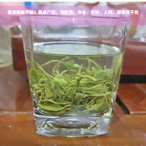 普洱茶能干嘛？用途广泛，可饮用、泡水、烹饪、入药，甚至可干吃！