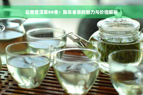 云南普洱茶88青：陈年老茶的魅力与价值解析