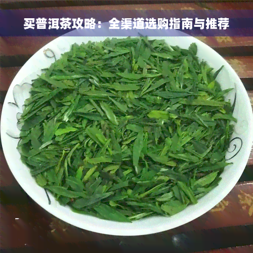 买普洱茶攻略：全渠道选购指南与推荐