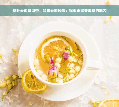 茶叶云南普洱茶，品味云南风情：探索正宗普洱茶的魅力