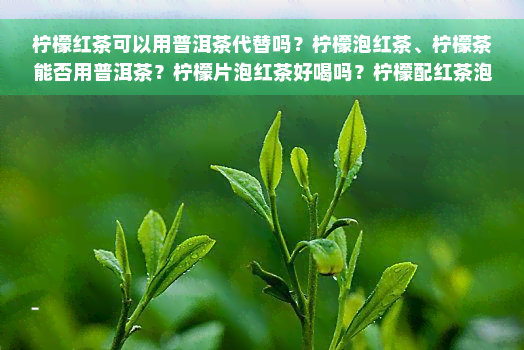 柠檬红茶可以用普洱茶代替吗？柠檬泡红茶、柠檬茶能否用普洱茶？柠檬片泡红茶好喝吗？柠檬配红茶泡水有哪些功效？柠檬加红茶叶可以一起泡着喝吗？