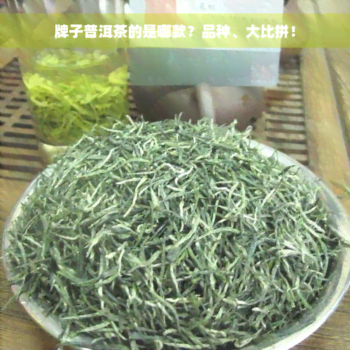 牌子普洱茶的是哪款？品种、大比拼！