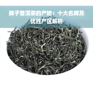 牌子普洱茶的产地：十大名牌及优胜产区解析