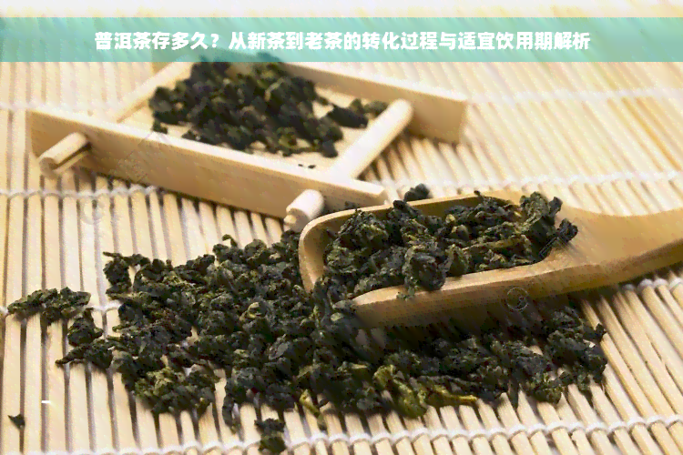 普洱茶存多久？从新茶到老茶的转化过程与适宜饮用期解析