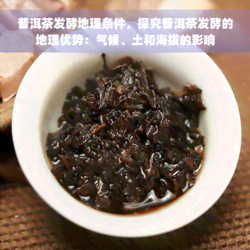 普洱茶发酵地理条件，探究普洱茶发酵的地理优势：气候、土和海拔的影响