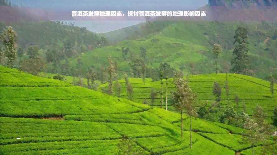 普洱茶发酵地理因素，探讨普洱茶发酵的地理影响因素