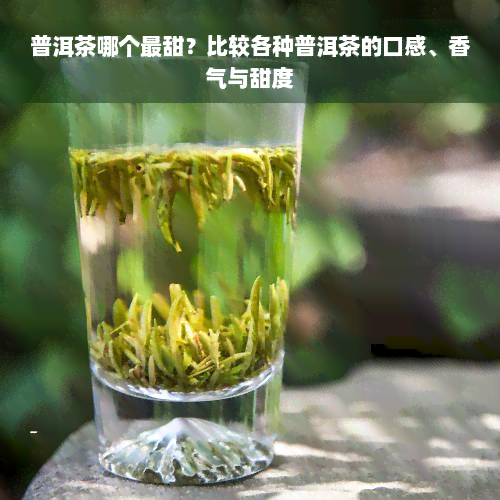 普洱茶哪个最甜？比较各种普洱茶的口感、香气与甜度