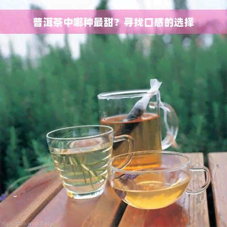 普洱茶中哪种最甜？寻找口感的选择