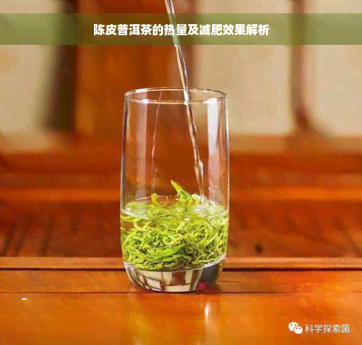 陈皮普洱茶的热量及减肥效果解析