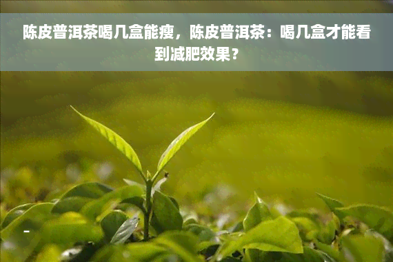 陈皮普洱茶喝几盒能瘦，陈皮普洱茶：喝几盒才能看到减肥效果？