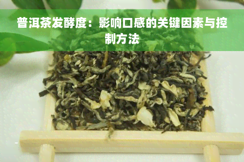 普洱茶发酵度：影响口感的关键因素与控制方法