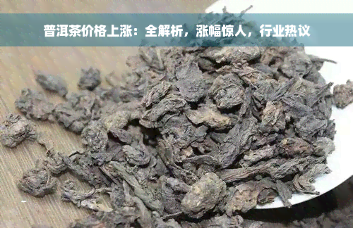 普洱茶价格上涨：全解析，涨幅惊人，行业热议