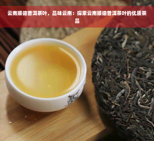 云南顺德普洱茶叶，品味云南：探索云南顺德普洱茶叶的优质茶品