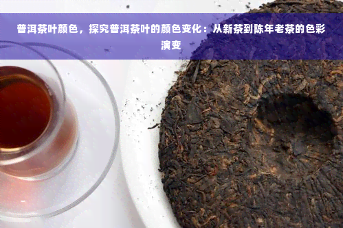 普洱茶叶颜色，探究普洱茶叶的颜色变化：从新茶到陈年老茶的色彩演变