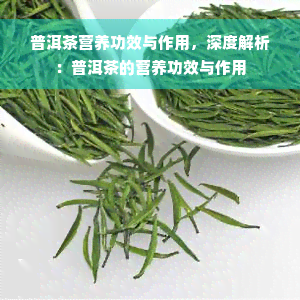 普洱茶营养功效与作用，深度解析：普洱茶的营养功效与作用