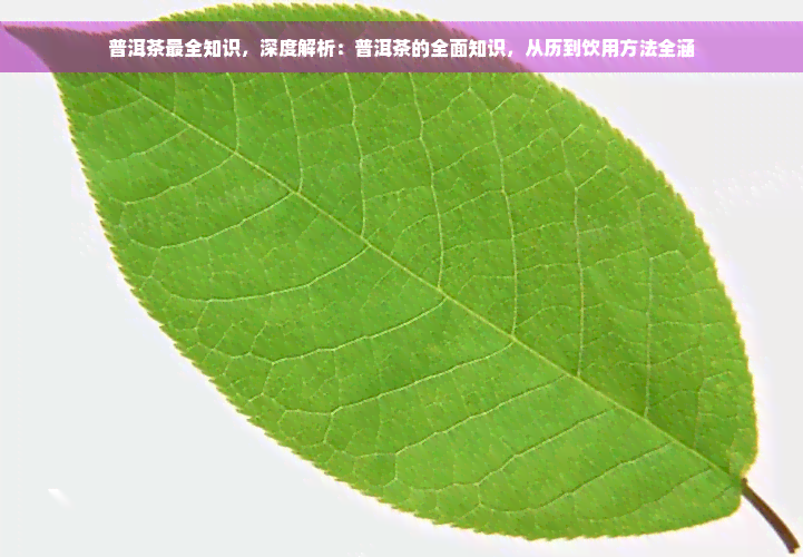 普洱茶最全知识，深度解析：普洱茶的全面知识，从历到饮用方法全涵