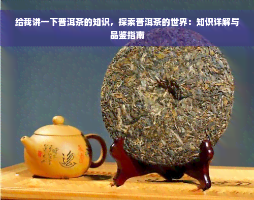 给我讲一下普洱茶的知识，探索普洱茶的世界：知识详解与品鉴指南