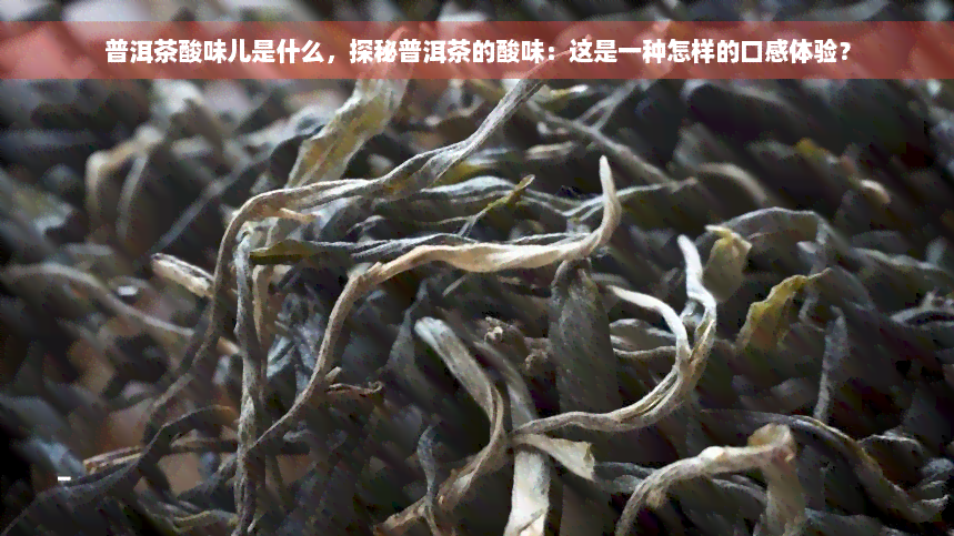 普洱茶酸味儿是什么，探秘普洱茶的酸味：这是一种怎样的口感体验？