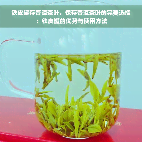 铁皮罐存普洱茶叶，保存普洱茶叶的完美选择：铁皮罐的优势与使用方法