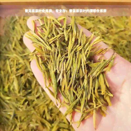 普洱茶茶叶仓库房，专业存：普洱茶茶叶的理想仓库房