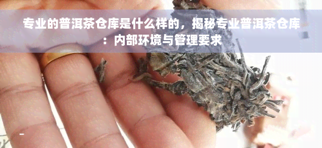 专业的普洱茶仓库是什么样的，揭秘专业普洱茶仓库：内部环境与管理要求