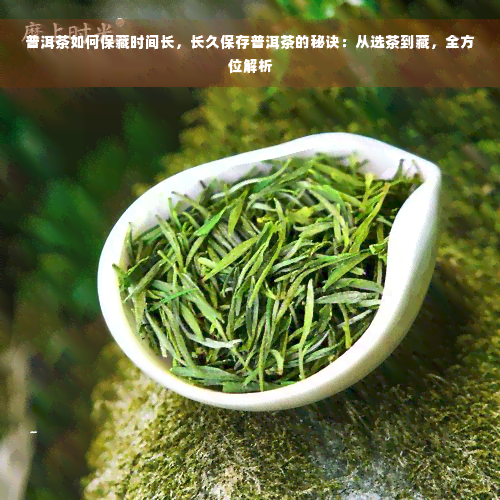 普洱茶如何保藏时间长，长久保存普洱茶的秘诀：从选茶到藏，全方位解析