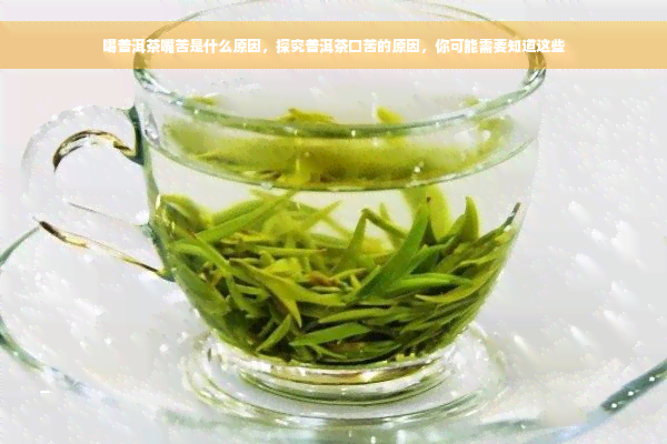 喝普洱茶嘴苦是什么原因，探究普洱茶口苦的原因，你可能需要知道这些