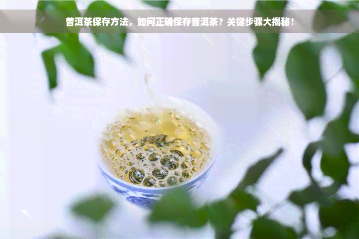 普洱茶保存方法，如何正确保存普洱茶？关键步骤大揭秘！