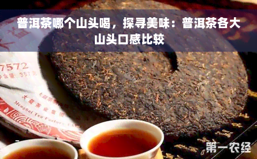 普洱茶哪个山头喝，探寻美味：普洱茶各大山头口感比较