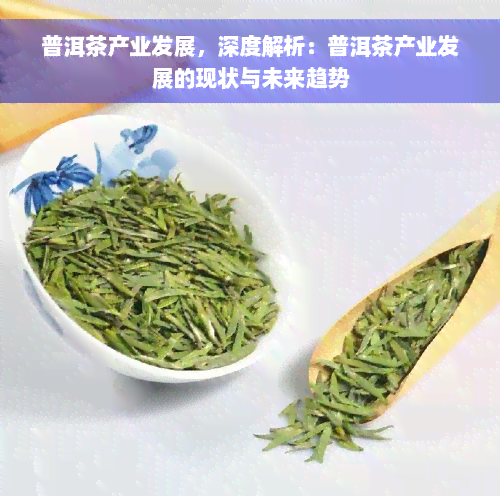 普洱茶产业发展，深度解析：普洱茶产业发展的现状与未来趋势