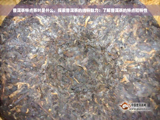 普洱茶特点茶叶是什么，探索普洱茶的独特魅力：了解普洱茶的特点和特性