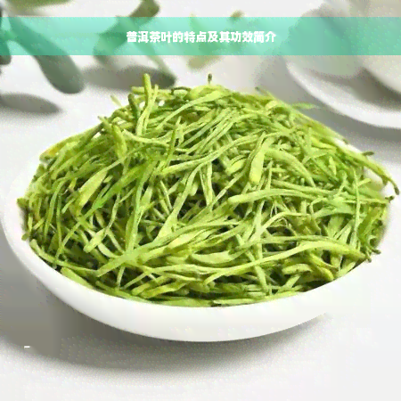 普洱茶叶的特点及其功效简介