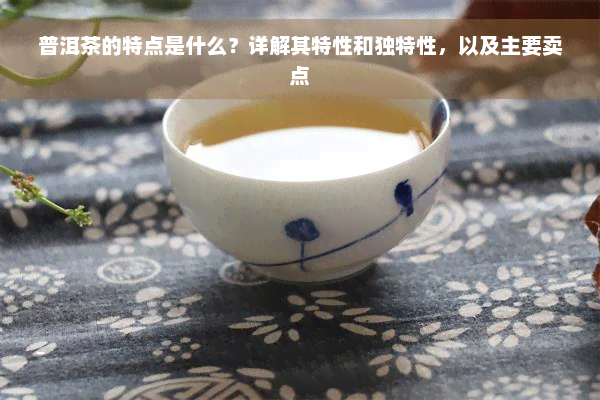 普洱茶的特点是什么？详解其特性和独特性，以及主要卖点