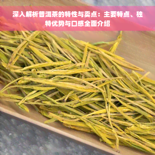 深入解析普洱茶的特性与卖点：主要特点、独特优势与口感全面介绍