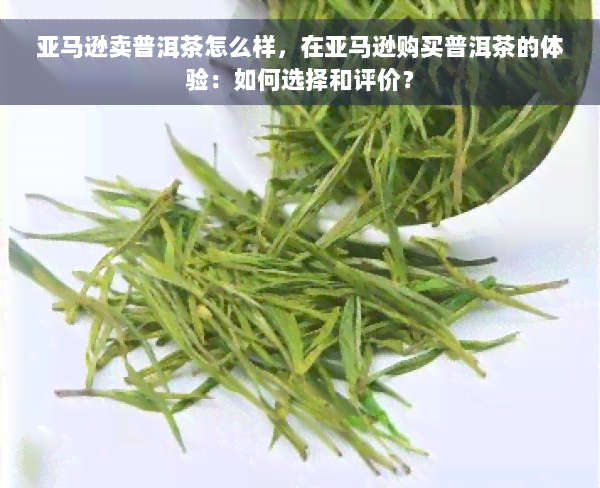 亚马逊卖普洱茶怎么样，在亚马逊购买普洱茶的体验：如何选择和评价？